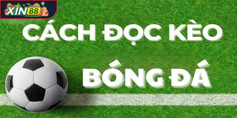 Cách đọc kèo bóng đá